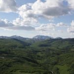 Alaskaflight