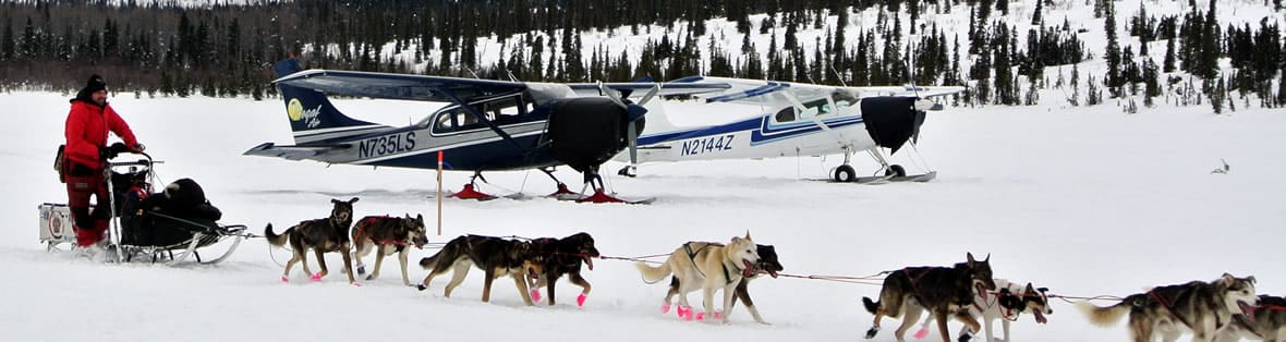 Iditarod